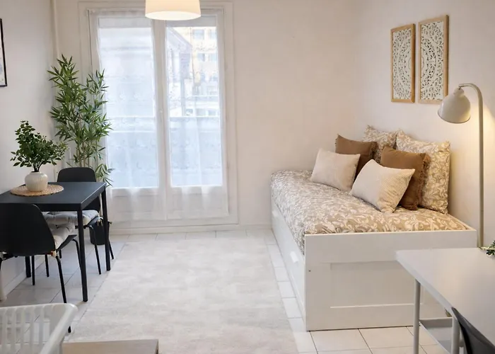 Le Petit Leon Apartment Clermont-Ferrand